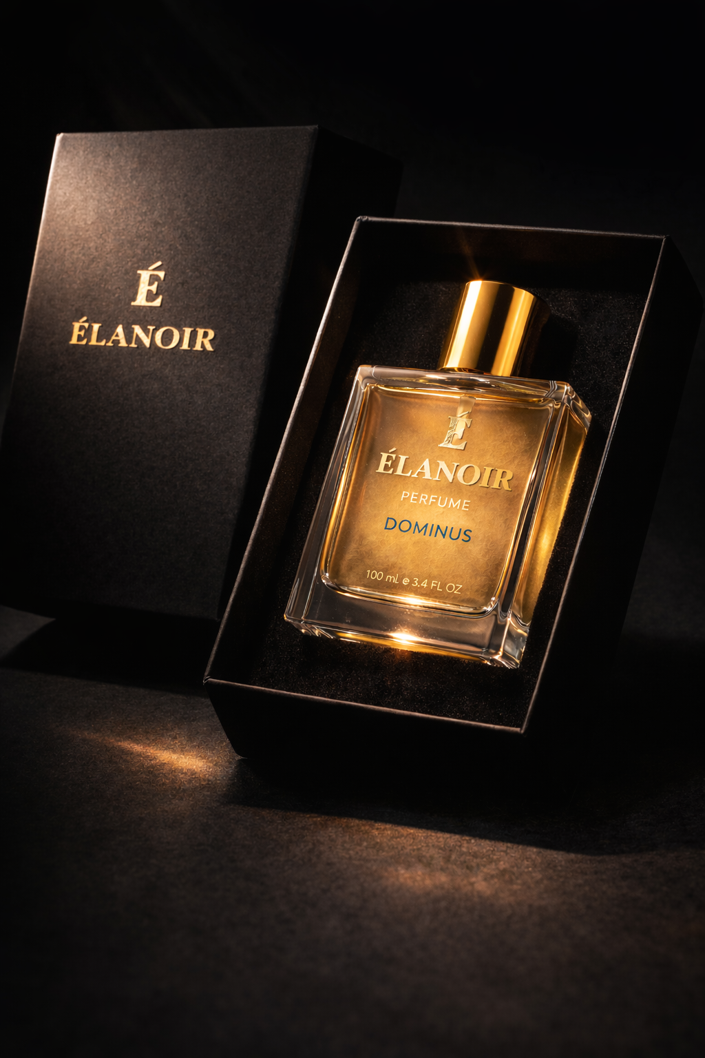 ÉLANOIR Dominus image 4